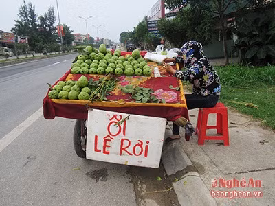 Bat ngo 