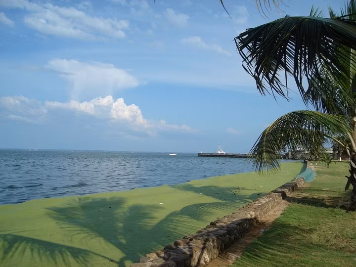 Một phút bình yên hiếm hoi của hồ Maracaibo.