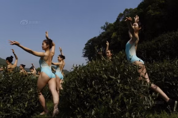 Những hình ảnh các cô gái trẻ diện đồ ballet bó sát, gợi cảm, vừa thực hiện những động tác múa có độ khó cao, vừa hái chè đã bị cộng đồng mạng "ném đá" vì cho là phản cảm.