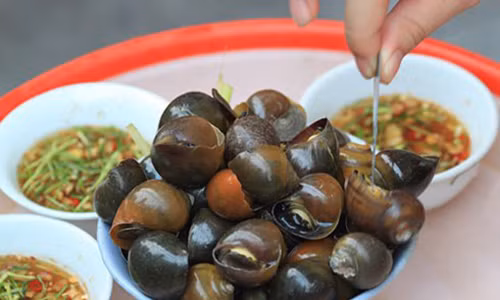 Món ngon nóng hổi từ ốc cho ngày đông lạnh Mon ngon nong hoi tu oc cho ngay dong lanh