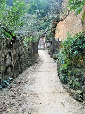 Thôn Thiên Hương là nơi cư trú của trên 40 hộ dân tộc Tày, Mông, Giáy, Nùng,... trong đó dân tộc Tày chiếm đa số với hơn 200 nhân khẩu. Là thôn vùng cao của thị trấn Đồng Văn cùng với đường sá đi lại khó khăn và đặc thù khí hậu khắc nghiệt, nên người dân nơi đây sinh sống chủ yếu theo phương thức tự cung tự cấp bằng các nghề trồng trọt (ngô, lúa, rau màu) và chăn nuôi (trâu, bò, lợn, gà, ngựa bạch, chim bồ câu).