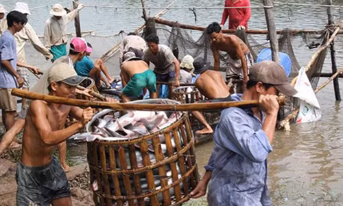 “Thuong lai Trung Quoc xui dan bo rau cau vao tom“