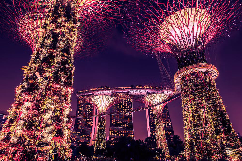 Cảnh trí buổi tối trong Công viên Siêu cây Supertree Grove.