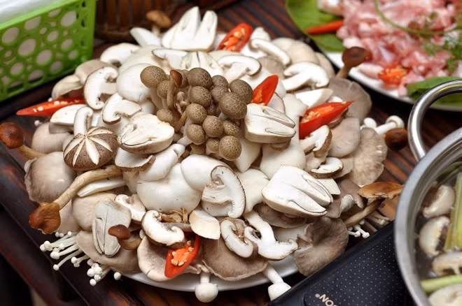 Nấm có thể gây ngộ độc nếu không sử dụng đúng cách. Nấm có thể gây ngộ độc nếu không sử dụng đúng cách.