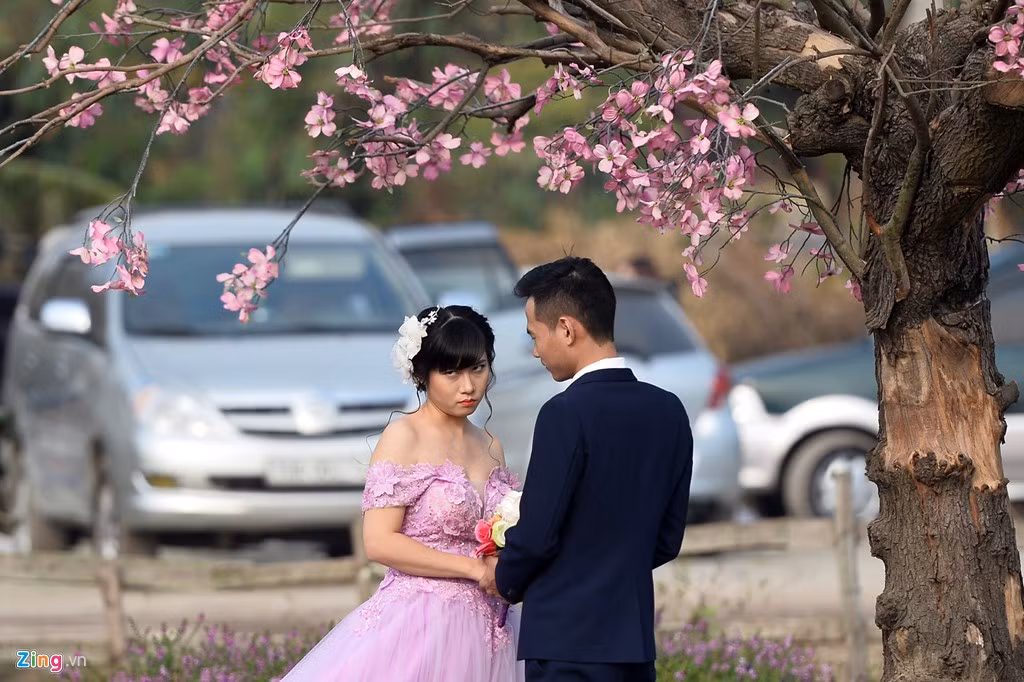 "Em mệt lắm rồi".