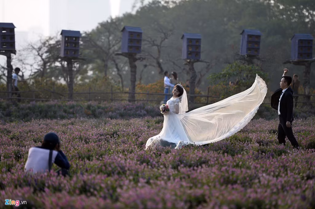 Nhiều chú rể kiêm vai trò stylist cho cô dâu.