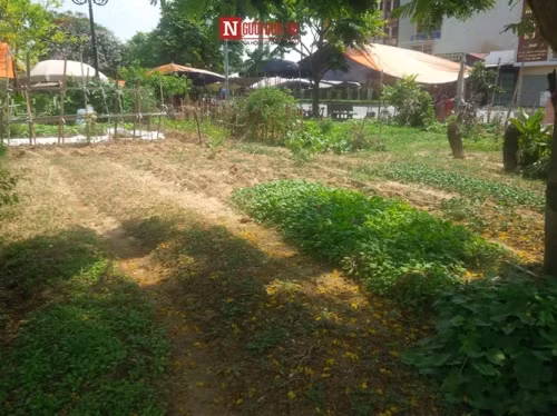 Được biết, quần thể khu lưu niệm cố Tổng bí thư Nguyễn Văn Cừ bao gồm nhà trưng bày, nhà khách, tượng đài, hồ nước, công viên, quảng trường... Năm 2012 nhằm kỷ niệm 100 năm ngày sinh cố Tổng bí Thư Nguyễn Văn Cừ (9/7/1912 – 9/7/2012), dự án được nâng cấp mở rộng có tổng mức đầu tư đã phê duyệt hơn 466 tỷ đồng.