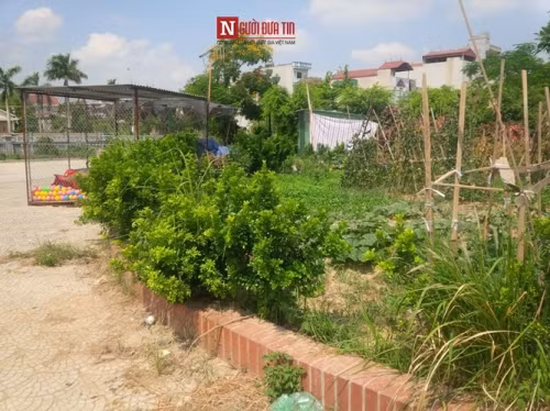 Tuy nhiên, sau ngày khánh thành và lễ kỉ niệm 100 năm ngày sinh của cố Tổng bí thư diễn ra đến nay một số hạng mục tại quần thể khu lưu niệm này ngày càng trở lên nhếch nhác, mất mỹ quan, ô nhiễm. Ghi nhận của PV Người Đưa Tin, con đường Nguyễn Văn Cừ rộng rãi dẫn vào khu lưu niệm nay cỏ dại mọc hoang hóa, um tùm. Phía công viên, quảng trường khu lưu niệm, hàng quán la liệt, rác thải vương vãi khắp nơi rất phản cảm.