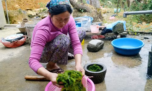 Chị Mến chế biến đặc sản rêu đá.