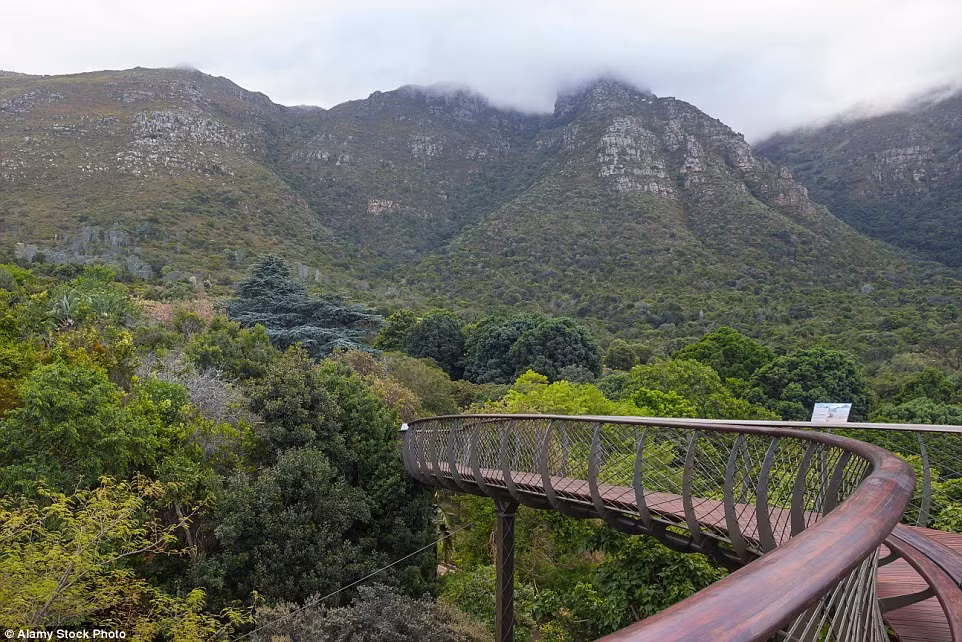 Vườn thực vật quốc gia Kirstenbosch, Nam Phi: Vườn Kirstenbosch nằm ở ngoại ô Cape Town, gần núi Table. Được thành lập từ năm 1913, các nhà quản lý đã phải đầu tư nhiều công sức để cải tạo khu vườn vốn là một trang trại cũ này. Sau này, Kirstenbosch đã trở thành một điểm đến hấp dẫn với những bãi cỏ xanh mượt, các cụm hoa được tạo hình độc đáo. Bạn có thể đi bộ tới các khu ít khách tham quan hơn và leo lên núi Table.