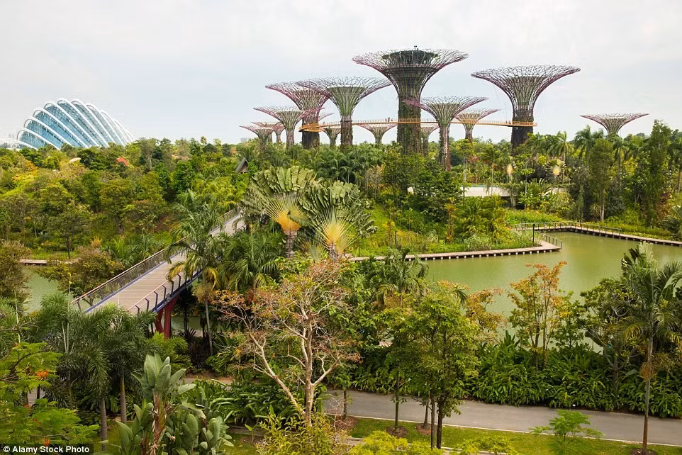 Gardens by the Bay, Singapore: Khu vườn ấn tượng này giống như một công viên giải trí, với các lối đi trên cao, vườn thẳng đứng... Toàn bộ vườn được thiết kế theo mô hình bền vững. Ví dụ, hai hồ nước chính là hồ Dragonfly và Kingfisher vừa tạo thành hệ thống lọc tự nhiên để lấy nước dùng cho các khu khác của vườn, vừa là điểm tham quan hấp dẫn.