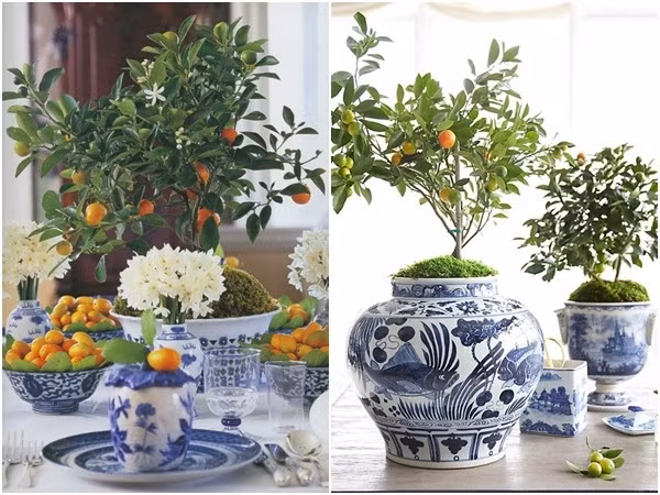 Mặt đất đâu phải là nơi duy nhất để bày chậu quất.