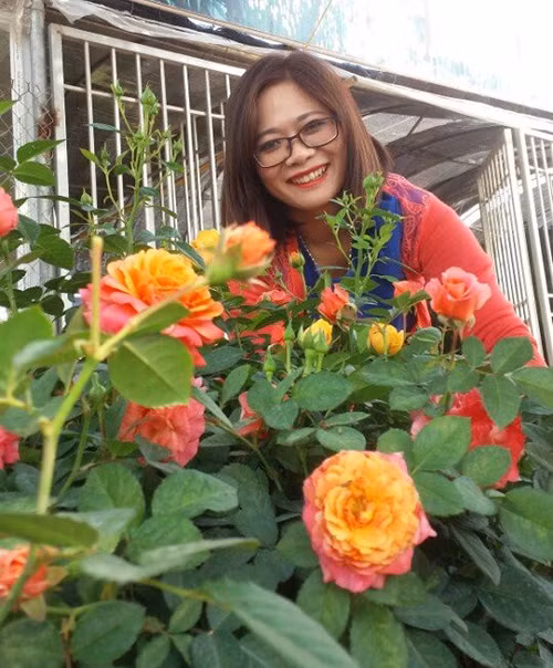 Thiên đường hoa hồng ngoại Ngồi trên ghế giảng đường Học viện, chị Thu Hằng đã tham gia nhiều đề tài nghiên cứu khoa học về cây và hoa đào. Khi tốt nghiệp và làm luận văn thạc sĩ, chị cũng chọn giống hoa đào Việt Nam để nghiên cứu và phản biện. Từ đó, niềm đam mê với hoa lớn dần trong chị. Năm 2014, chị được người bạn đem một số giống hoa hồng ngoại dòng David Austin (hoa hồng nước Anh) đến nhờ theo dõi, đánh giá khả năng thích nghi và sinh trưởng trong điều kiện khí hậu nhiệt đới. Chị kể: “Qua quá trình đánh giá, mình nhận thấy giống hoa hồng này có hình dáng rất đẹp, màu sắc đa dạng, hương thơm độc đáo. Đặc biệt, chúng nở hoa quanh năm với nhiều dạng cây như bụi, leo... Hơn nữa, chúng thích nghi tốt với khí hậu của nước ta. Do đó, mình quyết định đặt mua và nhân giống rộng tại khu vườn thiên đường hoa ngoại ô Hà thành”.