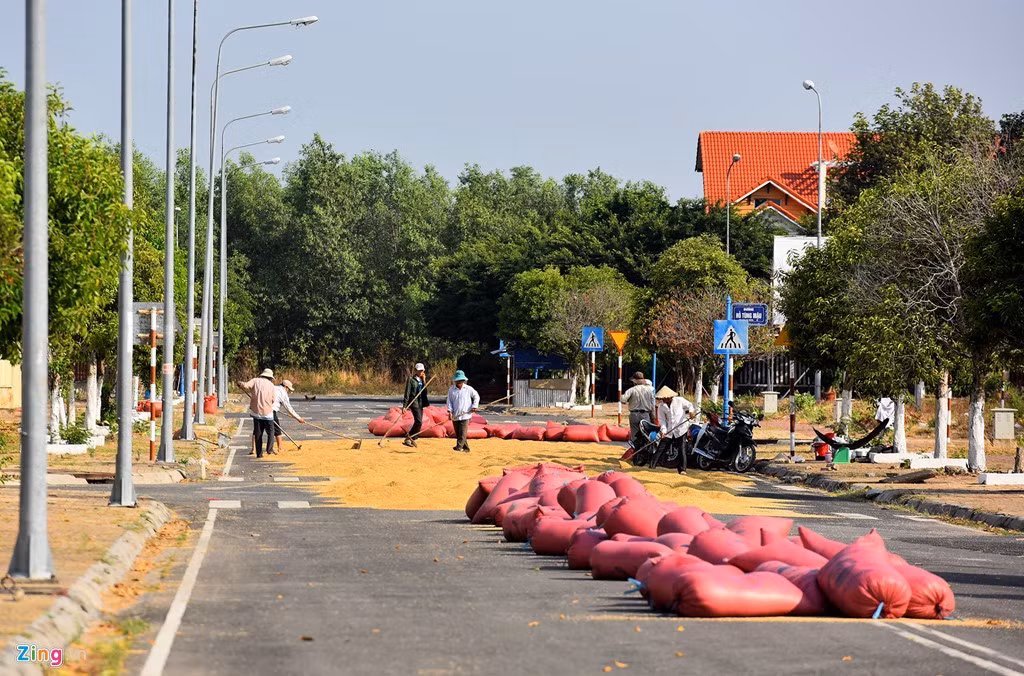 Ngay giữa trung tâm hành chính huyện Nhơn Trạch, những dãy nhà liền kề cũng vắng bóng người ở, một số dự án bị đắp chiếu. Hệ thống đường sá rộng thênh thang nhưng vắng bóng người, xe cộ, biến thành nơi phơi lúa của nhiều hộ nông dân.