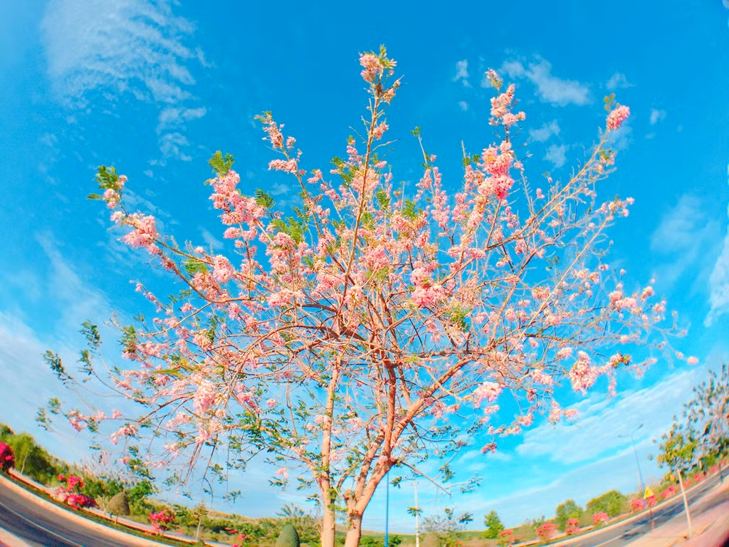 Thành phố Phan Thiết thuộc tỉnh Bình Thuận, cách TP.HCM 200 km về hướng đông bắc. Nơi đây có nhiều cảnh đẹp, yên bình phù hợp cho những chuyến đi thư giãn cuối tuần.
