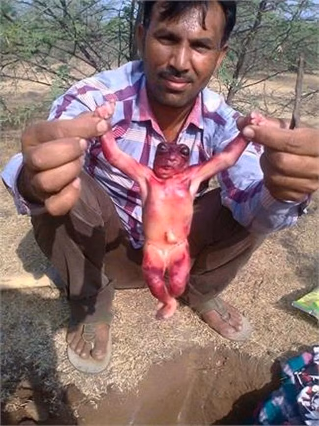 Theo trang NewsNation của Ấn Độ, năm 2015, người dân tại ngôi làng Bawadi, thành phố Jodhpur của bang Rajasthan, đã vô cùng kinh ngạc khi phát hiện một sinh vật kỳ lạ được tìm thấy trong quá trình họ đào giếng lấy nước sinh hoạt. Sinh vật này có nhiều đặc điểm tương tự so với cơ thể con người dù có vóc dáng nhỏ bé hơn nhiều.