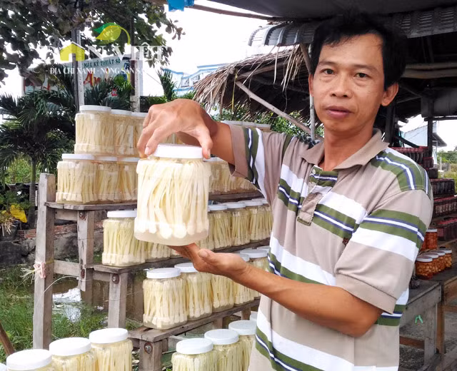 Dưa bồn bốn tại xứ cực Nam này được ngâm với nước vo gạo tự nhiên nên khách hàng rất yên tâm. Để làm món dưa này, phải chuẩn bị nước vo gạo được nấu sôi, nêm một ít muối rồi ủ khoảng 2 ngày. Lõi non của bồn bồn được cho vào hũ cùng với nước vo gạo ủ chua, ngâm tiếp từ 2-3 ngày là có được món dưa chua, giòn.