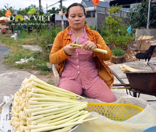Bồn bồn nhổ về được cắt bỏ lá, chừa gốc một đoạn khoảng 30cm rồi dùng dao nhỏ chẻ dọc theo 1/3 thân để tách lấy lõi non.