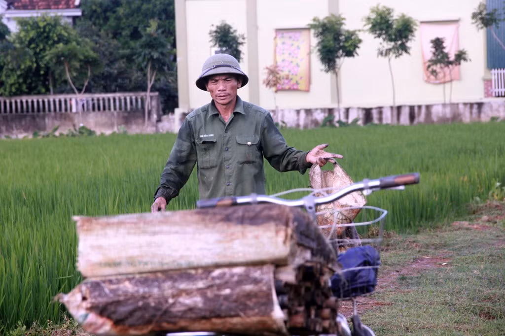 Ông Hòa cho biết, thả trúm bẫy lươn là phương pháp thông dụng nhất. Thông thường, khoảng 17h chiều là người dân đi đặt dưới ruộng lúa. Ông trúm được ngâm dưới ruộng sau một đêm, đến rạng sáng hôm sau thì lấy lên, thu hoạch.