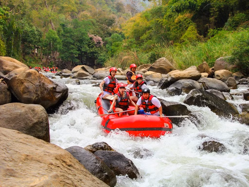 Ngoài ra, bạn có thể chèo thuyền vượt thác trên sông Tully ở Bắc Queensland qua khu rừng nhiệt đới di sản thế giới.