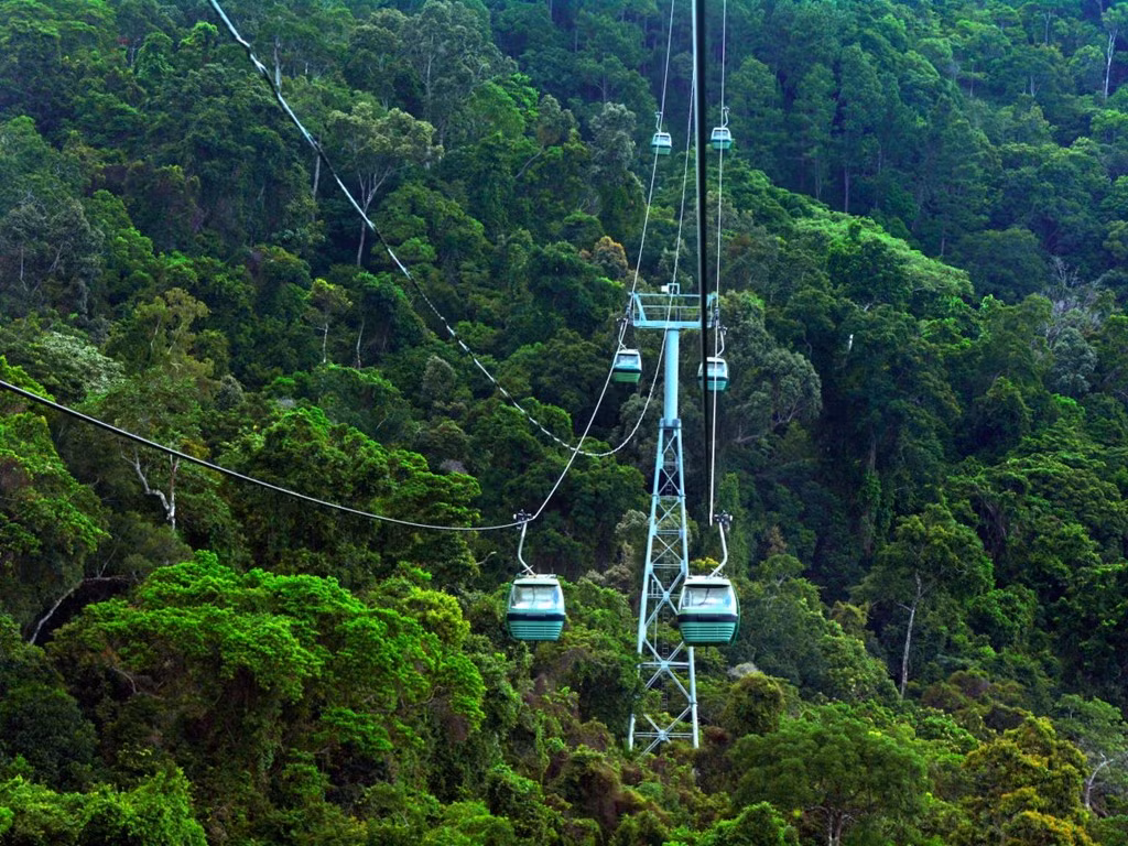 Cáp treo Skyrail Rainforest giúp du khách khám phá các khu rừng nhiệt đới của Australia qua một lăng kính mới.