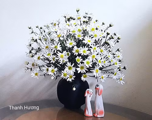 Đẹp tựa bức tranh là bình cúc hoạ mi của chị Thanh Hương, một nhà thơ, nhà báo ở Hưng Yên.