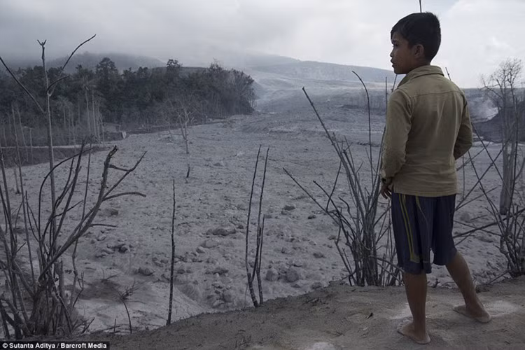 Cơ quan quản lý thảm họa quốc gia Indonesia đã thống kê thiệt hại từ vụ núi lửa Sinabung phun trào lên tới hơn 100 triệu USD.