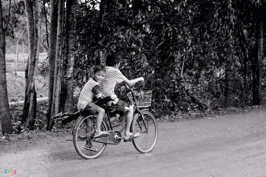 Các em phụ ba mẹ mang những thân cây về đóng lán.