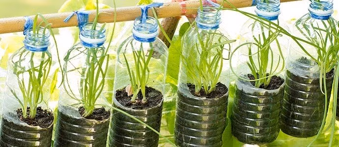 Đến đây bạn hoàn toàn có thể thỏa sức sáng tạo bằng cách trang trí trồng cây theo sở thích của mình.