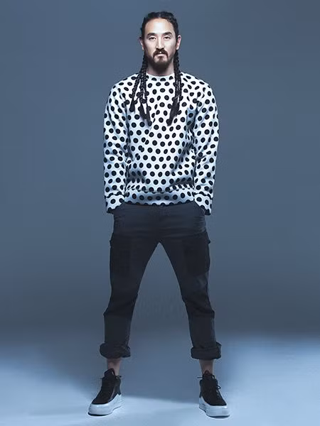 9. Steve Aoki: Bắt đầu sự nghiệp với dòng indie rock, âm nhạc của Steve Aoki đã thay đổi, hướng về electro dance hơn. Album The Chainsmokers phát hành năm 2014 rất được yêu thích với bản hit #Selfie lên sóng dày đặc trên đài phát thanh. Steve Aoki đã đi tour trên 50 quốc gia và sắp tung ra nhãn hiệu thời trang riêng tại Nhật.