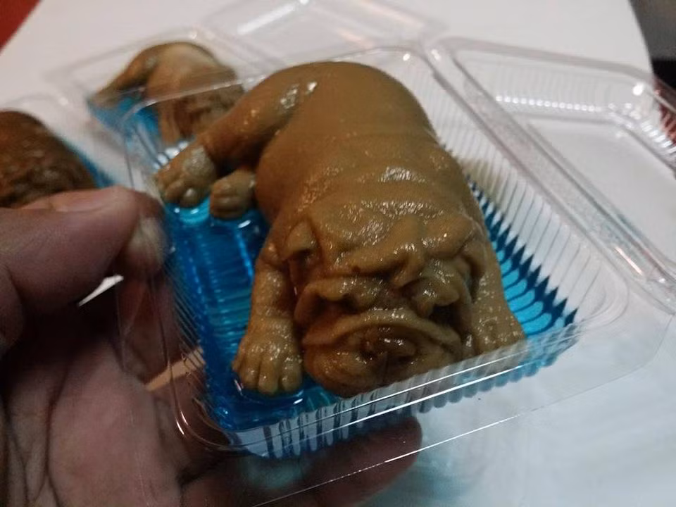Chiếc bánh pudding có hình chú cún trông y như thật nằm trên một lớp thạch mềm mại. Nhiều cư dân mạng chia sẻ rằng họ không biết nên cảm thấy như thế nào khi đối mặt với món ăn độc đáo này. Trái lại, nhiều người khác lại cảm thấy chiếc bánh đáng yêu và muốn mua về để "sống ảo" với bạn bè.