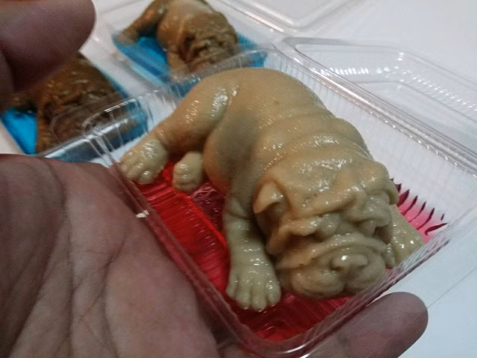 Thực tế, chiếc bánh này hoàn toàn làm từ kem bình thường với sữa dừa. Tiệm bánh Wilaiwan đã từng bày bán sản phẩm y hệt dưới hình dạng các loại hoa và chúng rất được yêu thích.