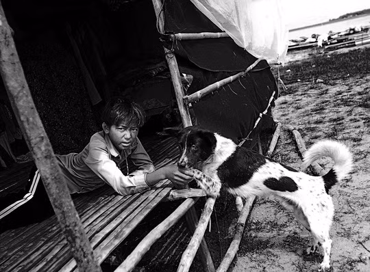 Những chú chó người bạn thân thiết với những đứa trẻ.
