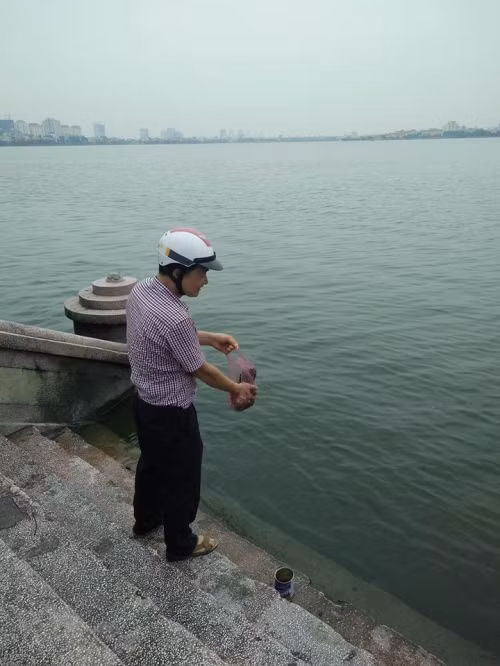 Việc phóng sinh nên thành tâm làm phúc, cứu khổ, cứu nạn và ngẫu nhiên chứ không nên định sẵn và có thể làm quanh năm chứ không phải cứ đợi đến dịp Rằm tháng Bảy.