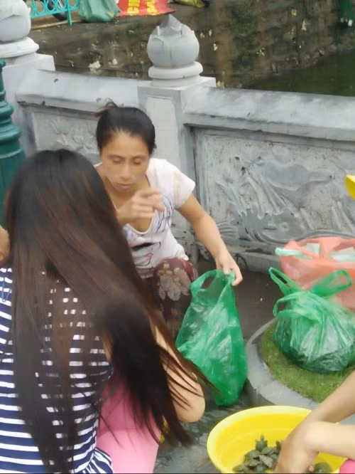 Khách chọn mua lễ vật phóng sinh, trong khi người bán hàng không ngớt lời chia sẻ "Cá vàng, ốc... được nhiều người mua. Chị cứ chọn đi em để giá rẻ". Dù thế, đáp lại lời của người bán, chị H (người mua) chia sẻ: "Gặp con gì thì mua con đó, không đặt trước, không phân biệt nhiều hay ít, lớn hay nhỏ thì mới đúng là thành tâm. Nay em gặp ốc thì em mua ốc chị à".