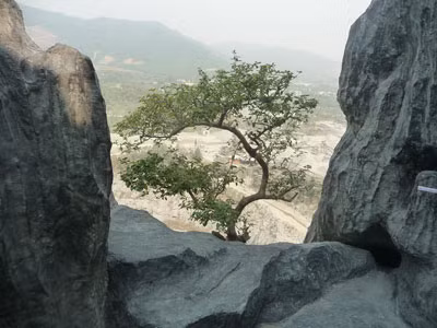 Xung quanh, một số nhà rường dựng lên bởi những cây gỗ rất lớn đi kèm với bàn ghế chạm trổ tinh xảo. Một chiếc chuông đồng nặng hàng tấn được treo trang trọng trước ngôi chùa. Còn phía sau, nhiều hòn non bộ lớn được xây dựng cầu kỳ…