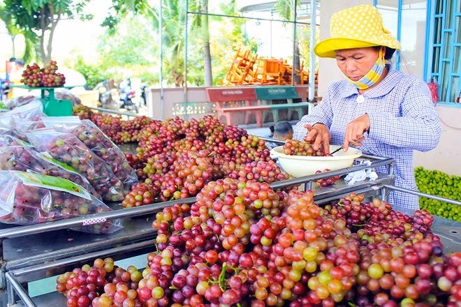 Loat dac san gia cao no ro o Sai Gon gan Tet