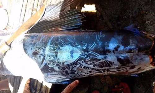 Philippines: Bat duoc ca ky la xam kin than
