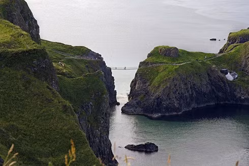 Cầu Carrick-a-Rede nối liền các phần của hòn đảo tí hon Carrickarede.