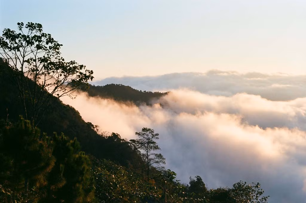 Mây Y Tý thường đẹp nhất vào mùa đông. Khi trời lạnh và sau mưa, gió nhẹ thì biển mây là lý tưởng. Leo lên những đỉnh cao nhìn xuống, thấy mây lúc bồng bềnh như một tấm thảm dày, lúc lại len lỏi giữa các ngọn cây như những sợi tơ lảng bảng.