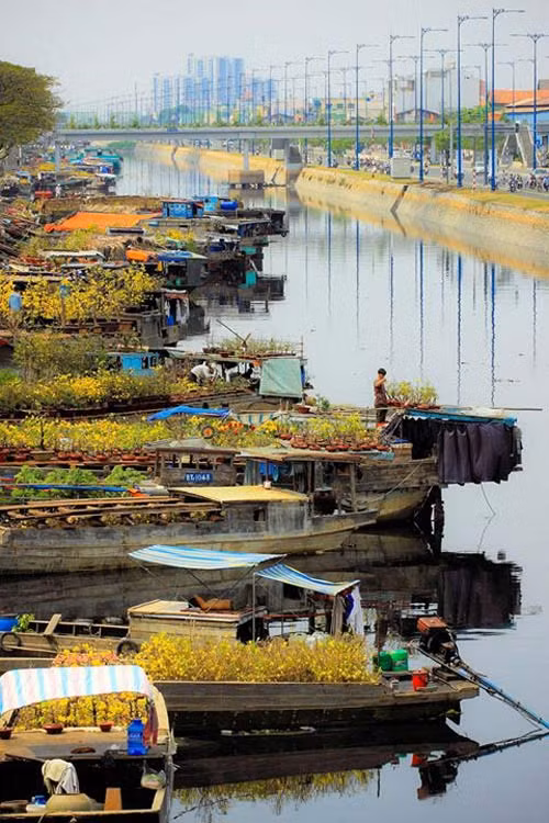 "Bến Bình Đông vào xuân" (Ảnh: Dzung Viet Le)