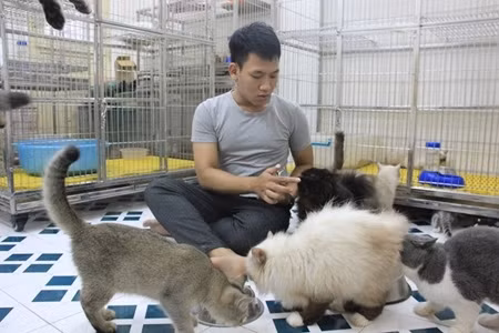Thành Trung bên những chú mèo quý.