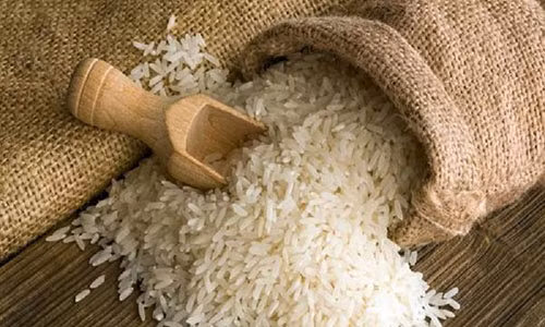 Gạo Tám xoan Hải Hậu quý hiếm nổi tiếng như thế nào? Gao Tam xoan Hai Hau quy hiem noi tieng nhu the nao?