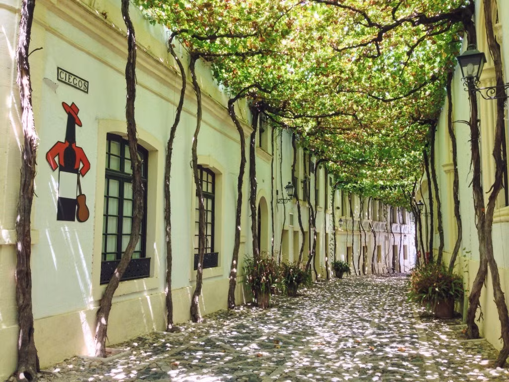 Jerez de la Frontera (Tây Ban Nha): Thành phố nổi tiếng với những loại rượu vang thượng hạng của xứ sở bò tót. Trong hình là một con đường lãng mạn ở trung tâm thành phố, được tô điểm bằng những cây nho trồng dọc hai bên đường. Ảnh: Viachesiva.