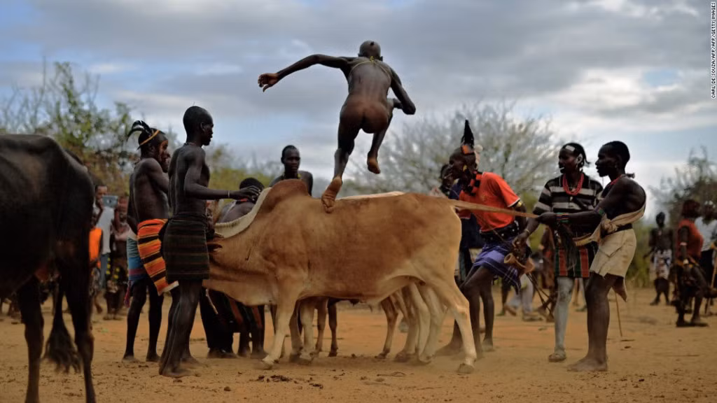 Bộ tộc Hamar, Ethiopia: Các chàng trai của tộc Hamar thực hiện nghi lễ nhảy bò để đánh dấu sự trưởng thành của mình. Mỗi người sẽ phải nhảy trên lưng những con bò bốn lượt để được công nhận quyền lấy vợ. Chỉ cần trượt chân là họ có thể bị thương. Ảnh: CNN.