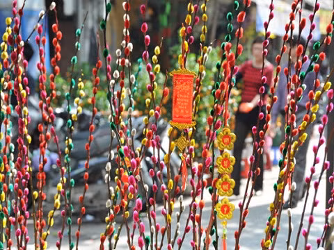 Ngoài ra, đúng như tên gọi, hoa tầm xuân còn mang ý nghĩa báo Xuân sang. Đi chợ hoa Tết mà không tìm một bó hoa tầm xuân mang về nhà chưng thì cũng thật là thiếu xót.