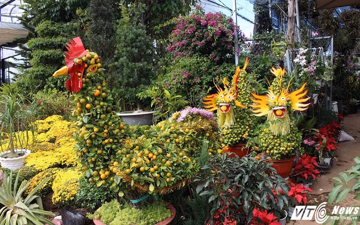 Thi truong Tet “phat sot” voi quat kim ke, dao the ky di