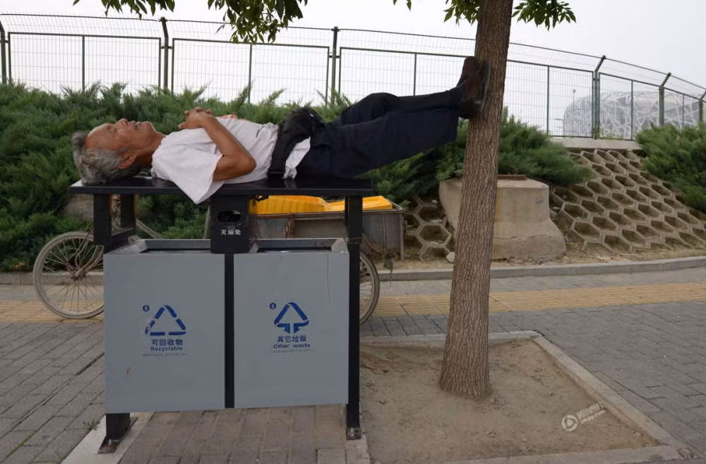 Ngủ trên thùng rác. (Nguồn: QQ)