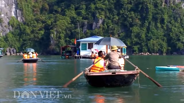 Nhờ núi bao bọc nên làng chài Cái Bèo luôn kín gió, biển lặng quanh năm, nên việc sinh sống và khai thác thủy sản rất thuận lợi. Các thế hệ dân chài ở đây xem thuyền là nhà, biển là quê hương, gắn bó với Cái Bèo cả về tâm hồn lẫn thể xác, quanh năm làm bạn với biển khơi và thân thiện với du khách gần xa.