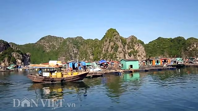 Hòa cùng tiếng mái chèo khua nước, là giọng nói ngọt ngào của người lái đò giới thiệu những nét đặc sắc của làng chài. Khu di chỉ rộng khoảng 800m2, là thung lũng bằng phẳng, ba mặt núi đá vôi bao bọc, còn mặt Đông quay ra biển. Đi qua khu di chỉ chừng 200m, là hai dãy núi Áng Thảm và Bù Nâu chạy vòng cung ôm lấy Cái Bèo.